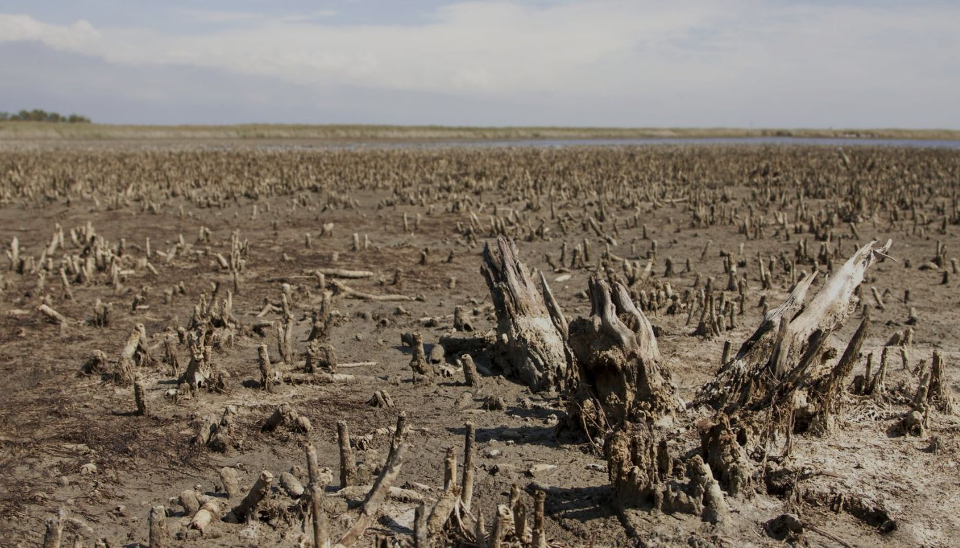 Aquecimento Global Um olhar sobre o Brasil